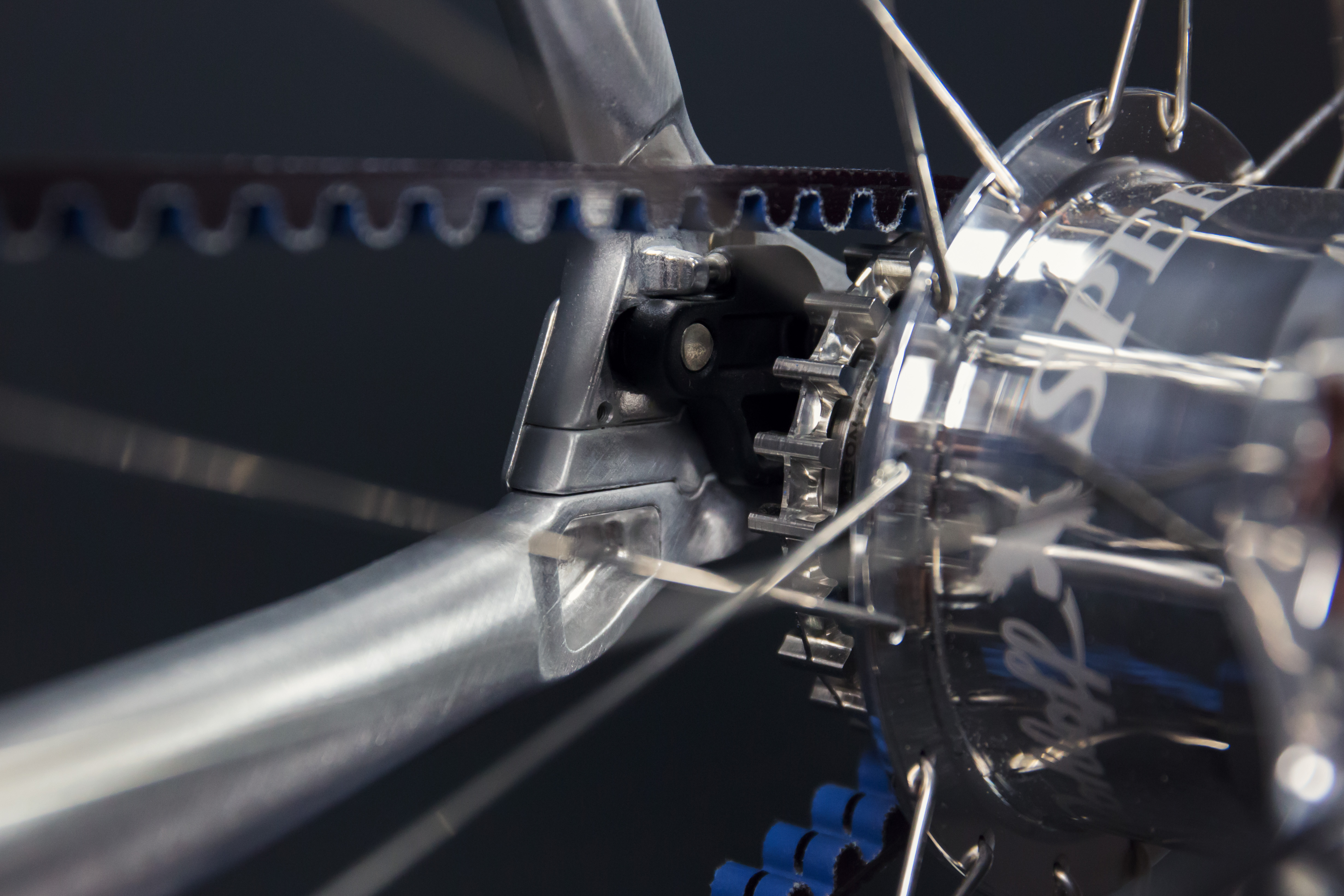 Ludwig-XIV_2019_ap_Details-19 Schindelhauer Wilhelm Rohloff